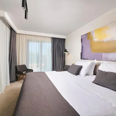 호텔 Park Plava Laguna