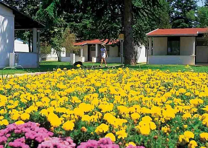 Park Plava Laguna 4*