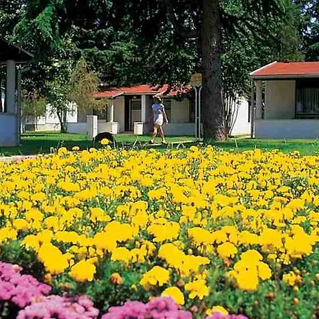 Park Plava Laguna 4*